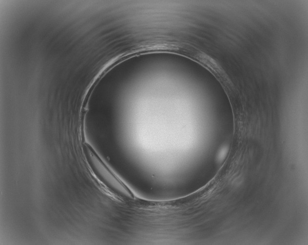 X0000058101236200509230951