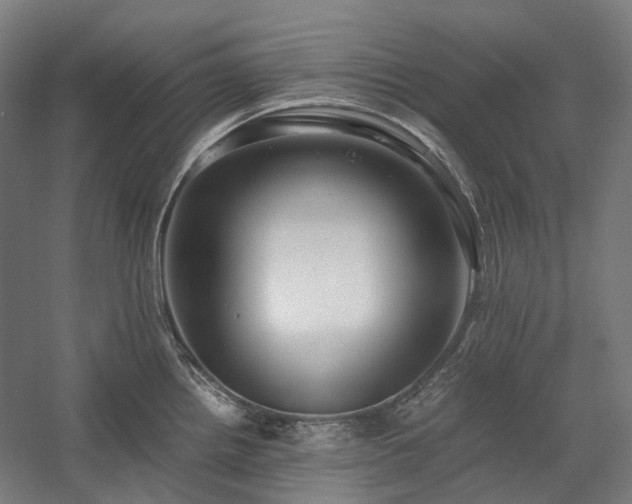 X0000058101242200509230951