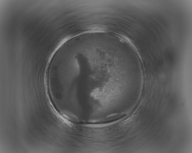 X0000058101243200509230951