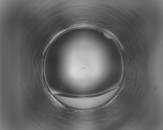 X0000058101244200509230951