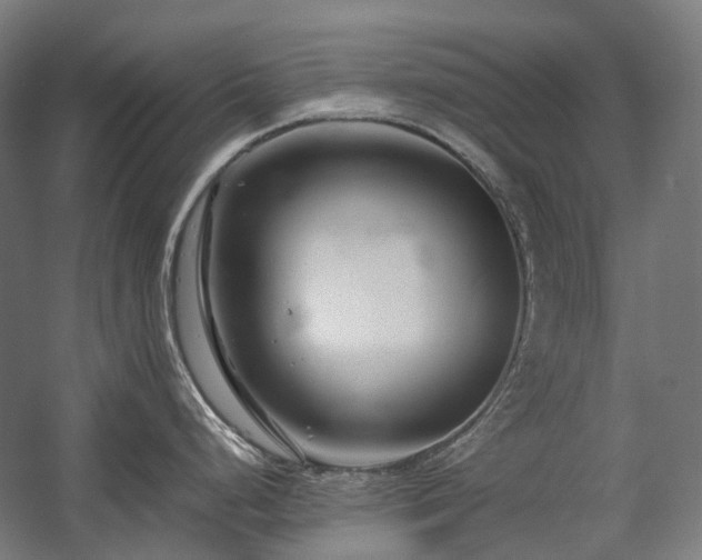 X0000058101248200509230951