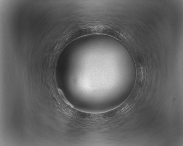X0000058101249200509230951