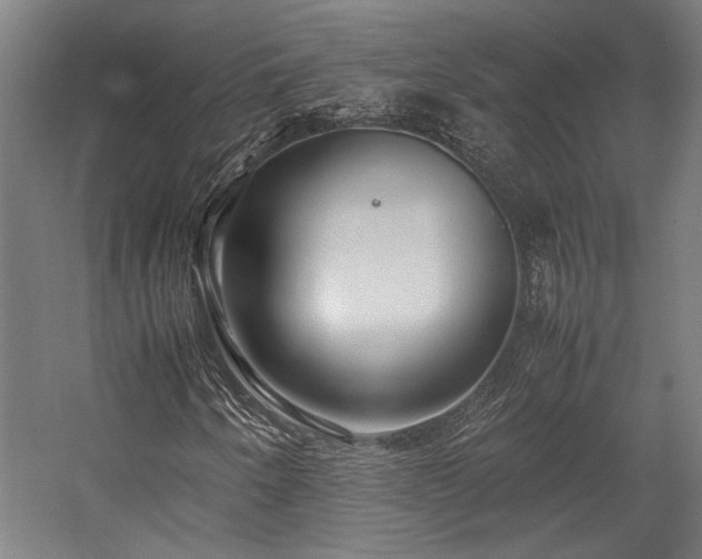 X0000058101250200509230951