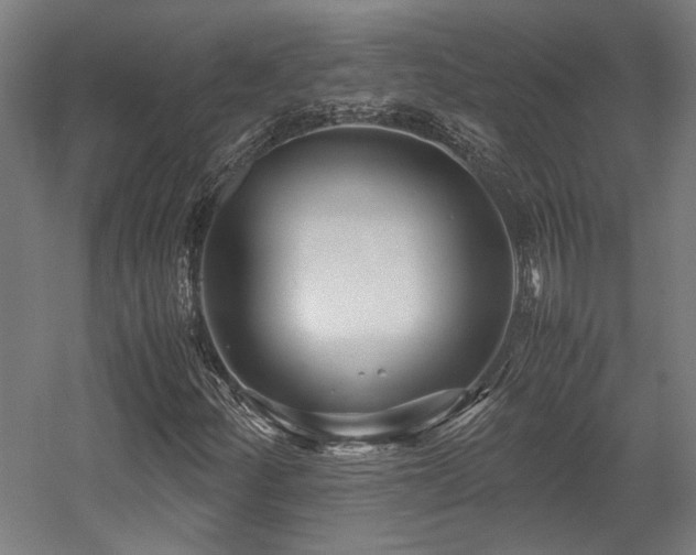 X0000058101252200509230951