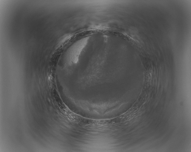 X0000058101254200509230950