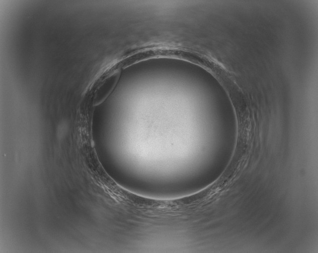 X0000058101255200509230950