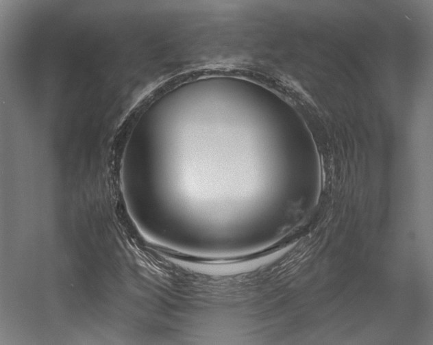 X0000058101256200509230950
