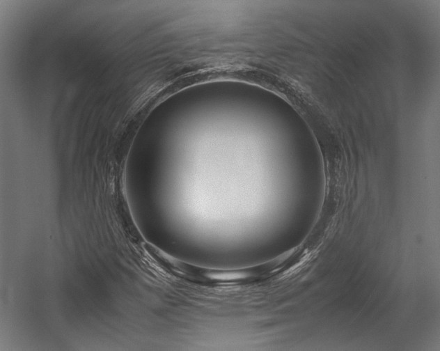 X0000058101257200509230950