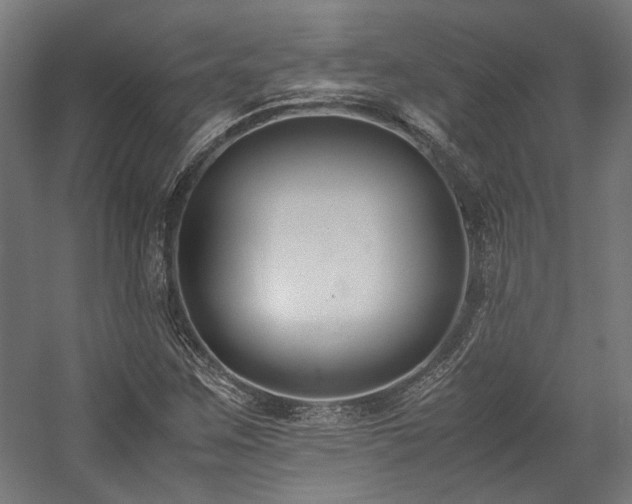 X0000058101259200509230950