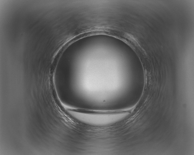 X0000058101260200509230950