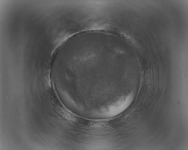 X0000058101262200509230950