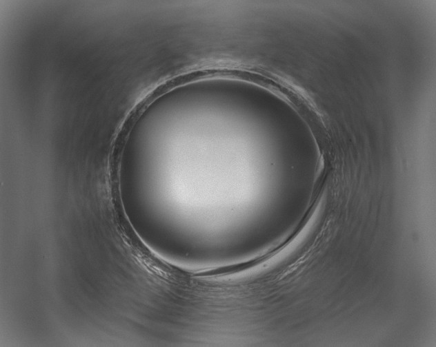 X0000058101264200509230950