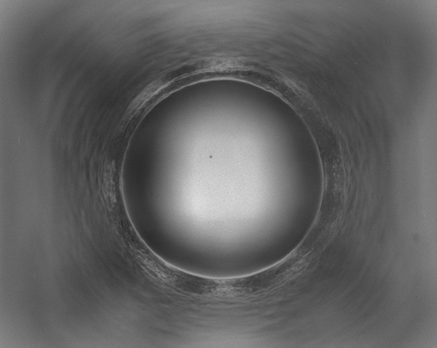 X0000058101265200509230950