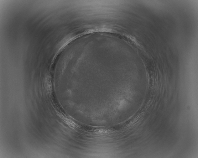 X0000058101266200509230950