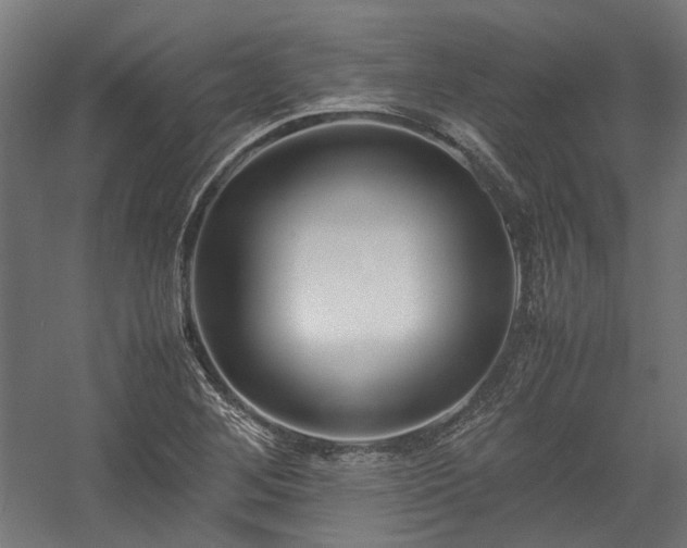 X0000058101268200509230950