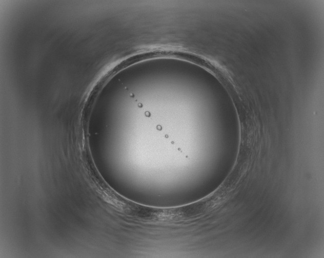 X0000058101271200509230950