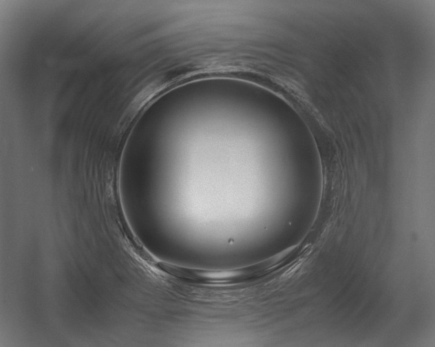 X0000058101273200509230950