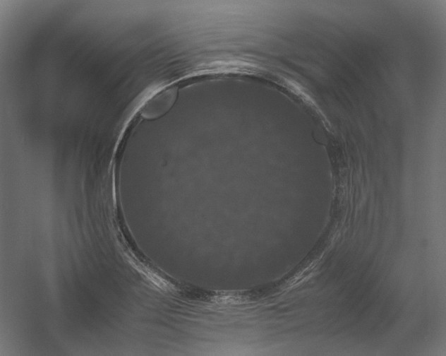X0000058101275200509230950