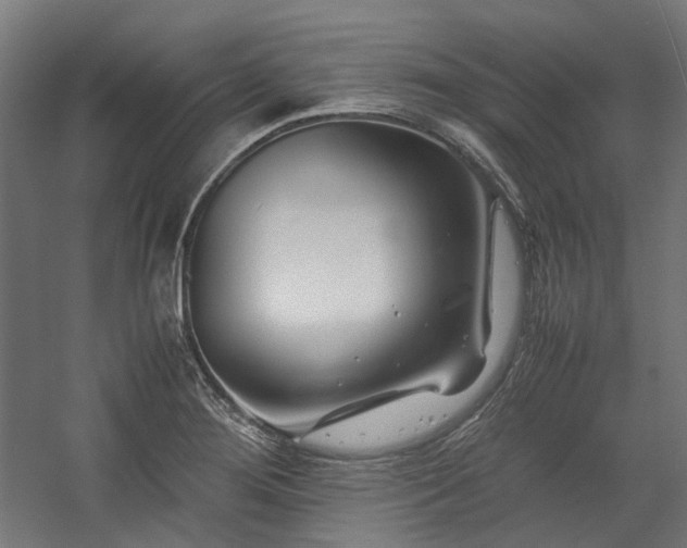 X0000058101276200509230950