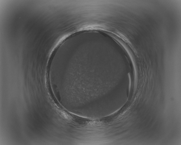 X0000058101277200509230950