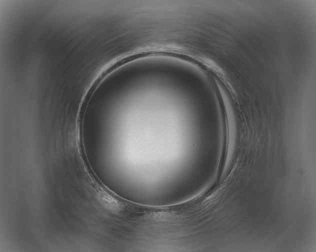 X0000058101280200509230950