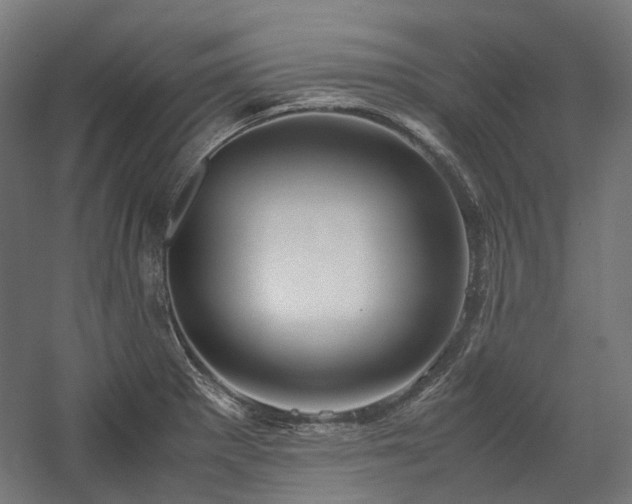 X0000058101281200509230950