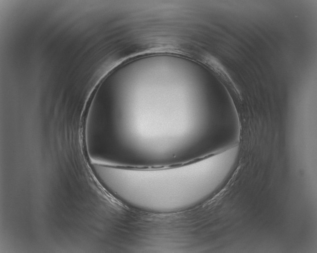 X0000058101284200509230950