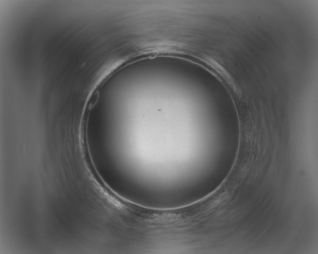 X0000058101285200509230950