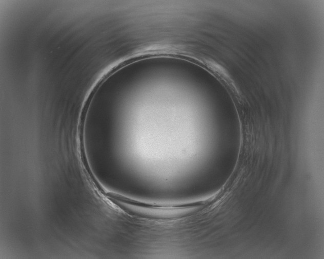 X0000058101288200509230950
