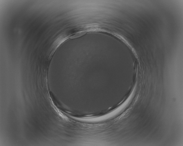 X0000058101289200509230950