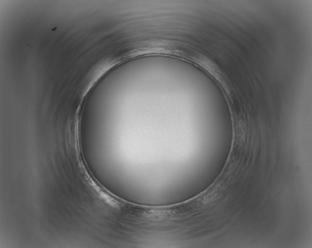 X0000058101290200509230950