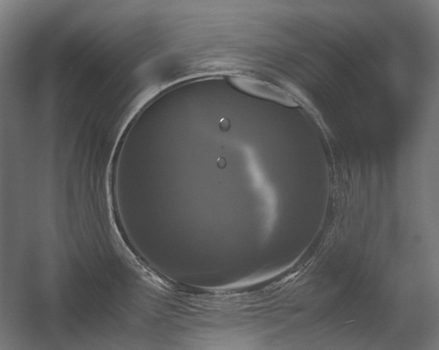 X0000058101291200509230950