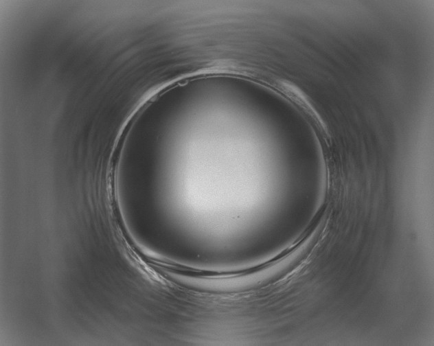 X0000058101292200509230950