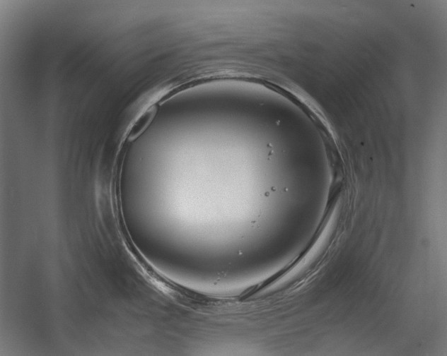X0000058101293200509230950