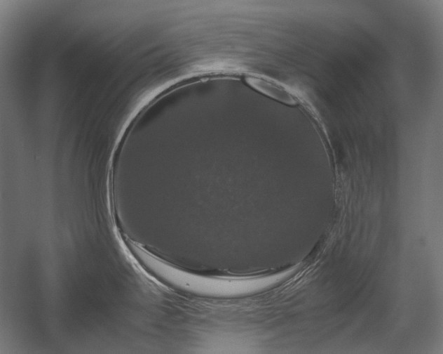X0000058101295200509230950