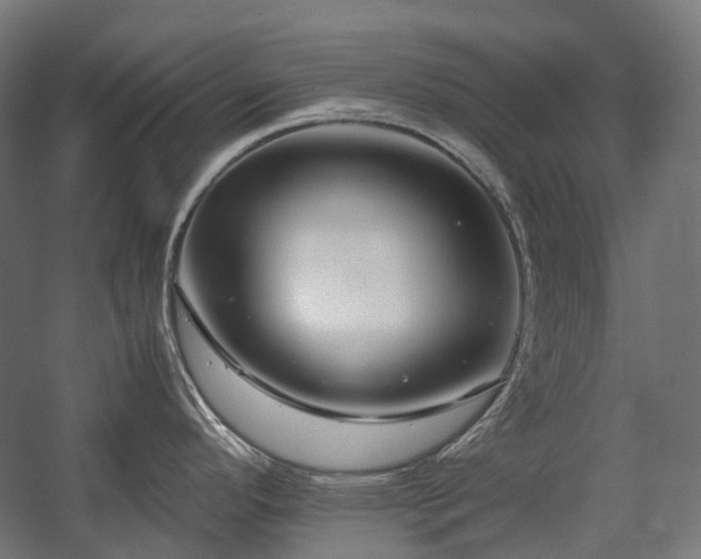 X0000058101296200509230950