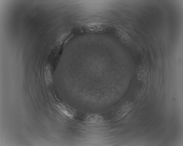 X0000058101298200509230949