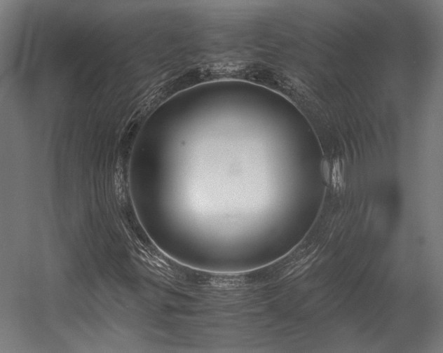 X0000058101299200509230949