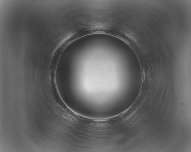 X0000058101309200509230949