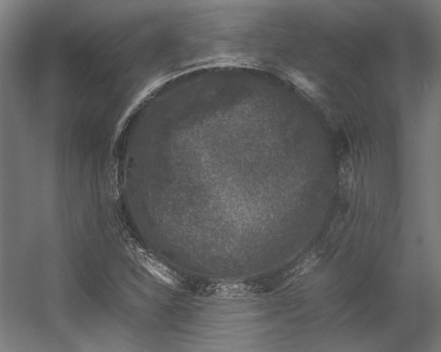 X0000058101310200509230949