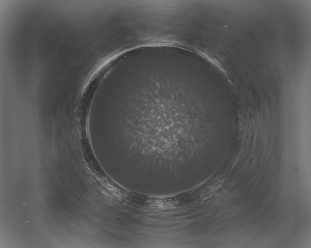 X0000058101311200509230949