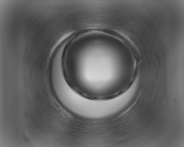 X0000058101317200509230949