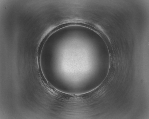 X0000058101320200509230949