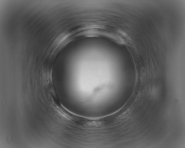 X0000058101321200509230949