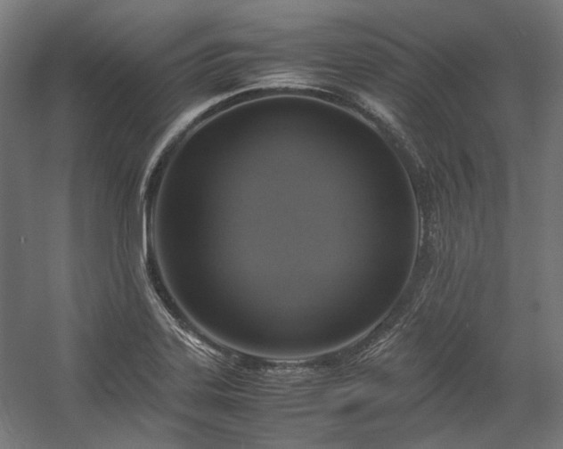 X0000058101323200509230949