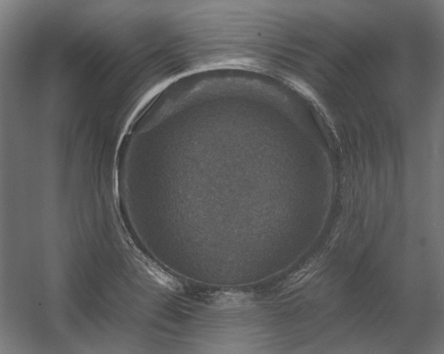 X0000058101324200509230949