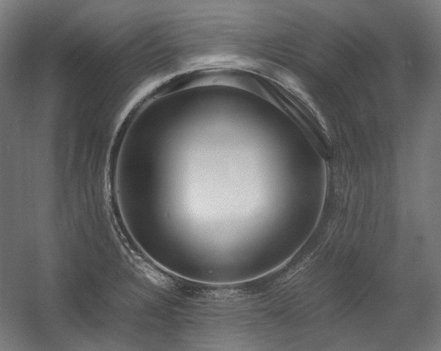 X0000058101328200509230949