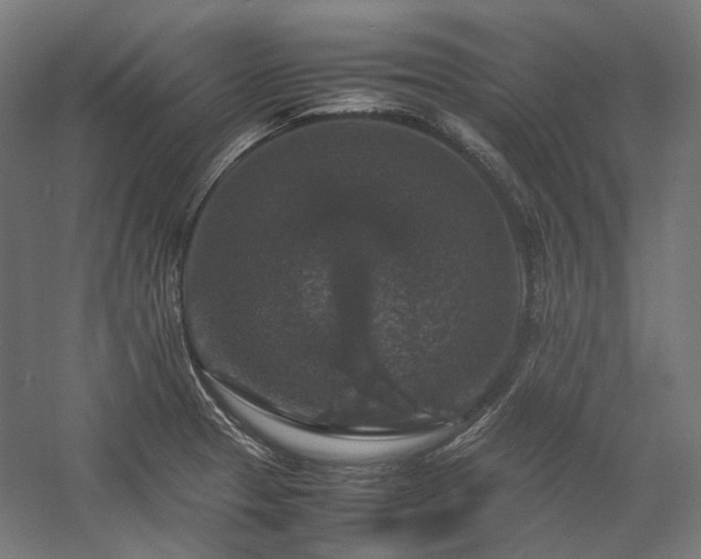 X0000058101329200509230949