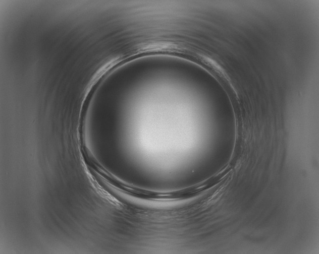 X0000058101330200509230950