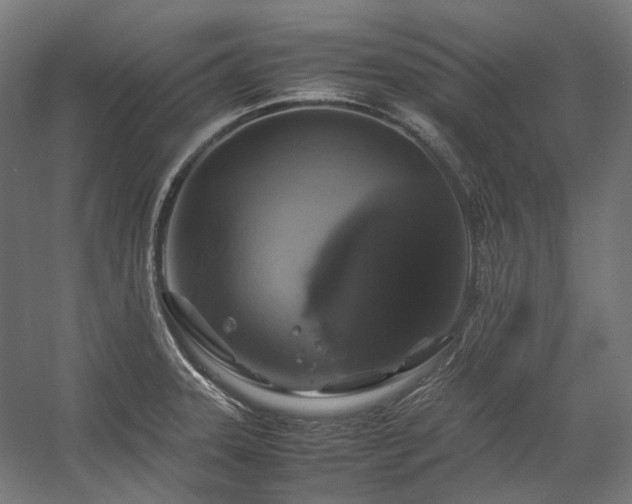 X0000058101331200509230950